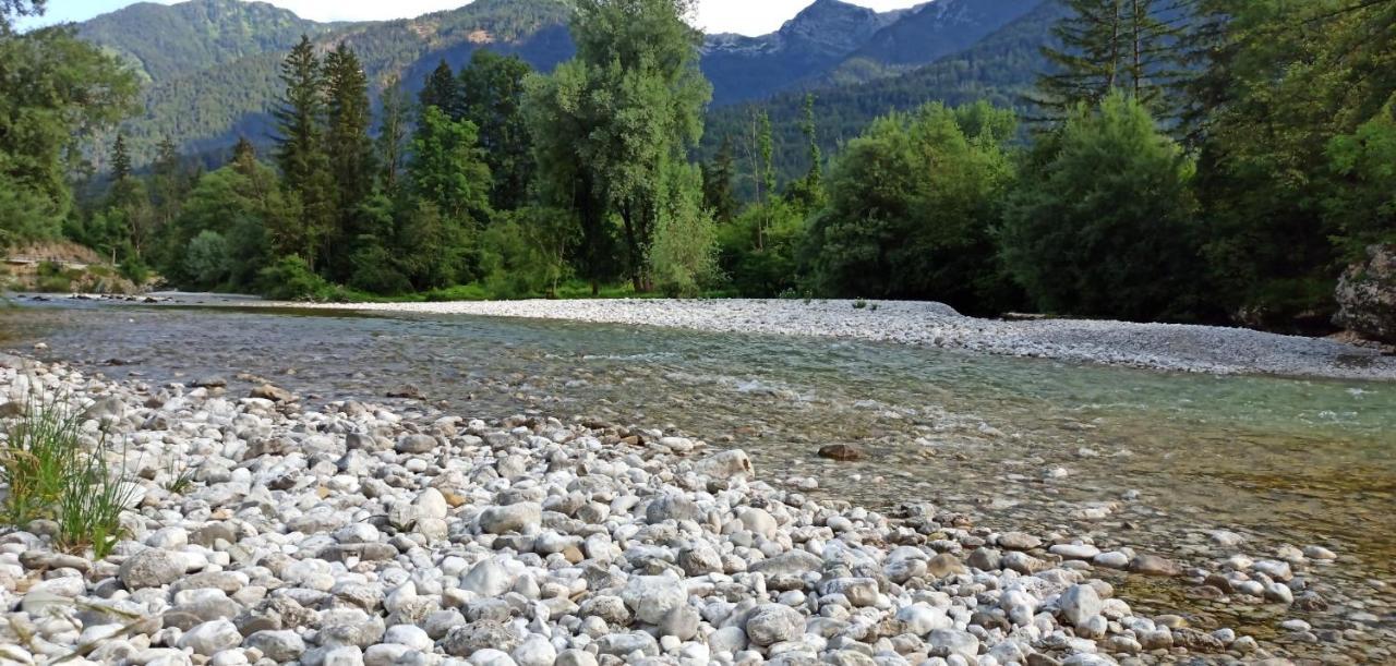 Apartments Irena Bohinj Zewnętrze zdjęcie