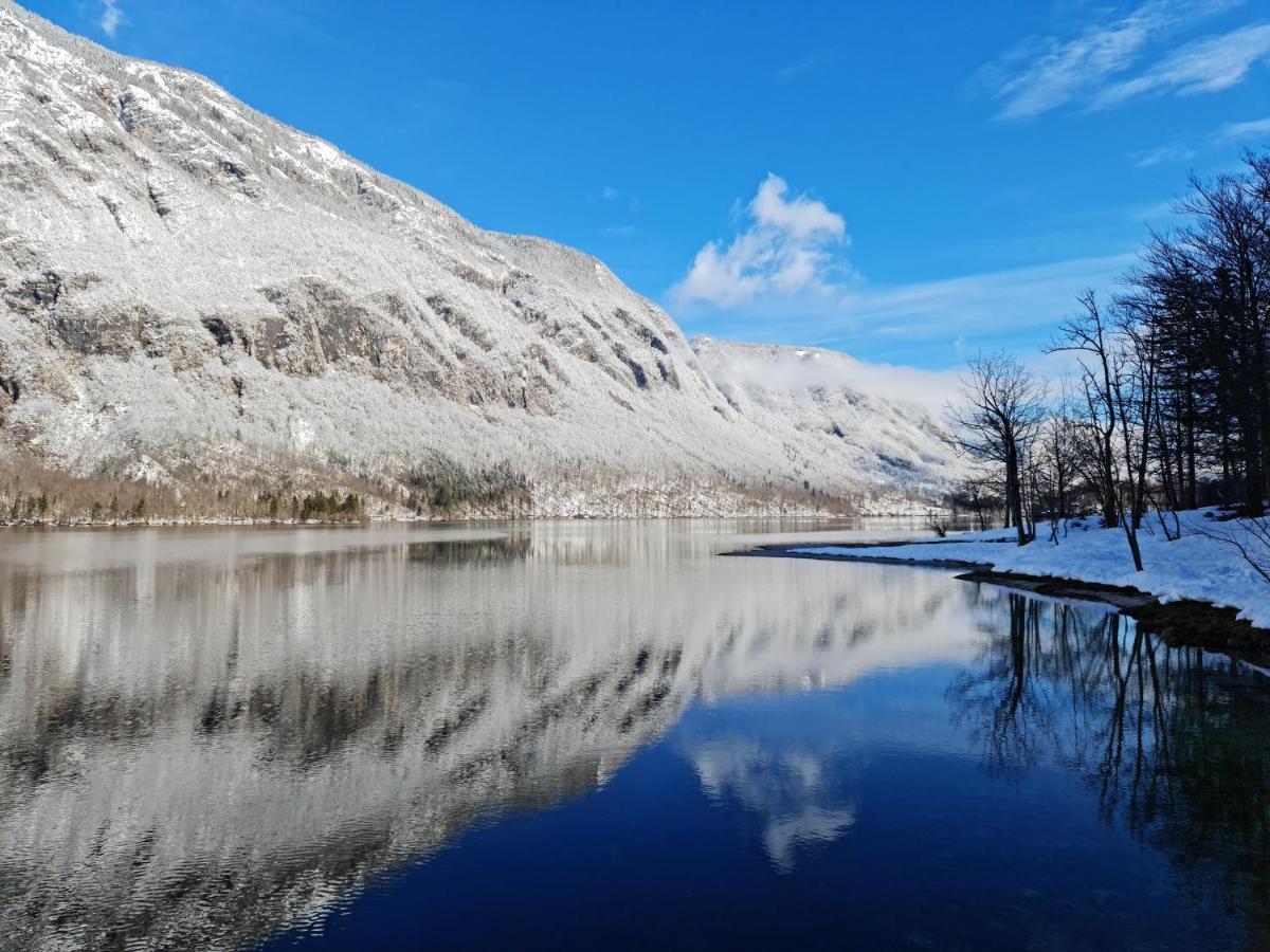 Apartments Irena Bohinj Zewnętrze zdjęcie